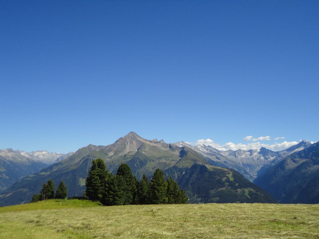 Apart Huamatl Ramsau im Zillertal Phòng bức ảnh